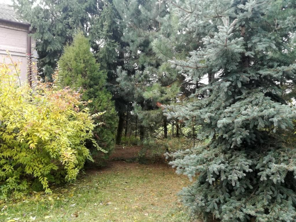 Загородные дома Siedlisko Bolek Nadrybie-137