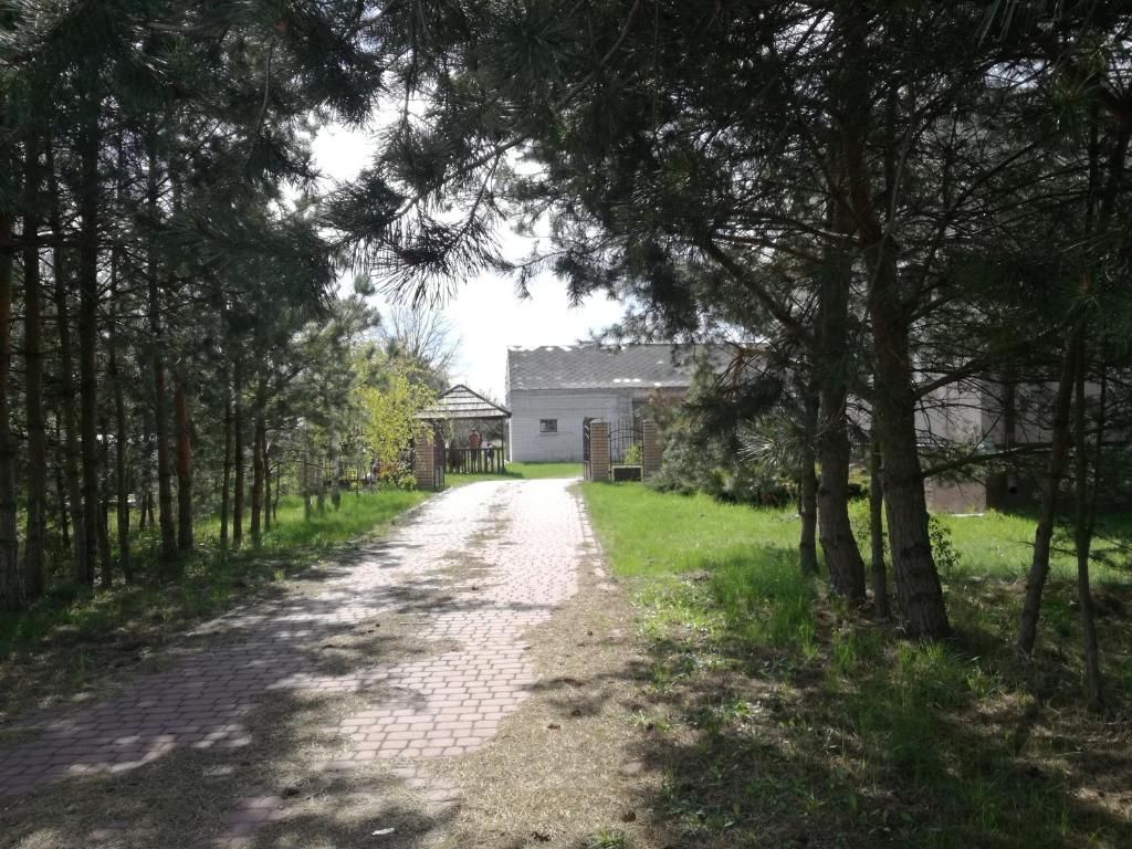 Загородные дома Siedlisko Bolek Nadrybie-139